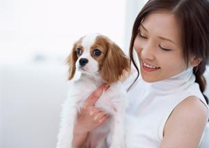 港区にあるペットホテルも兼ねた犬の学校