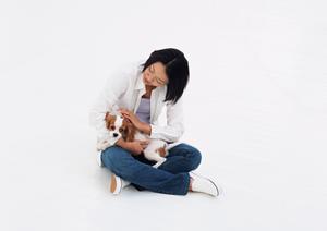 動物病院は京都ではどこがあるか