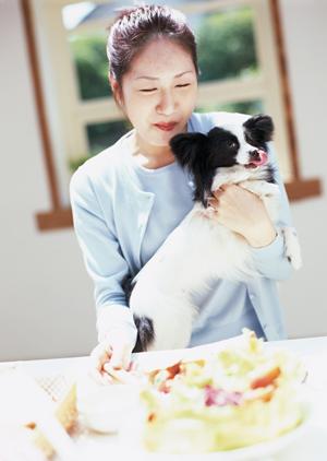 ペット保険は動物病院の支払いにマスト