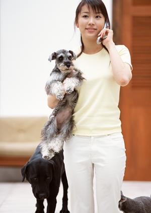 シロアリ駆除はアサンテ｜即日対応と土日祝も受付で安心の害虫駆除サービス